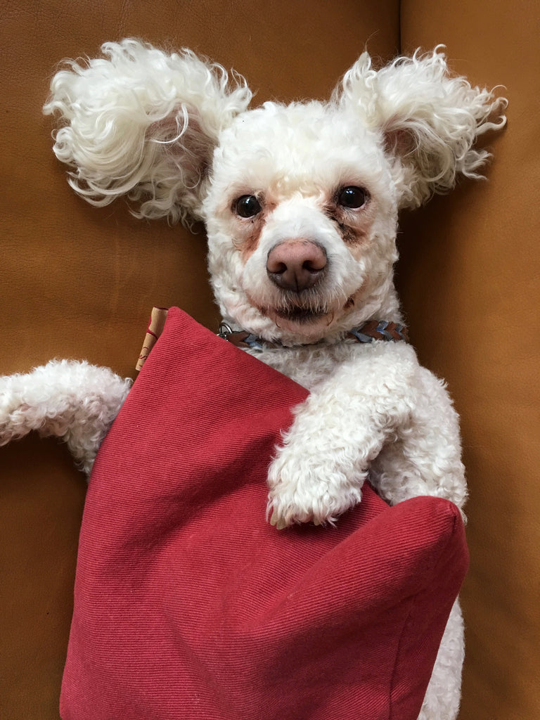 Hot Cherry Square Pillow in Red Denim